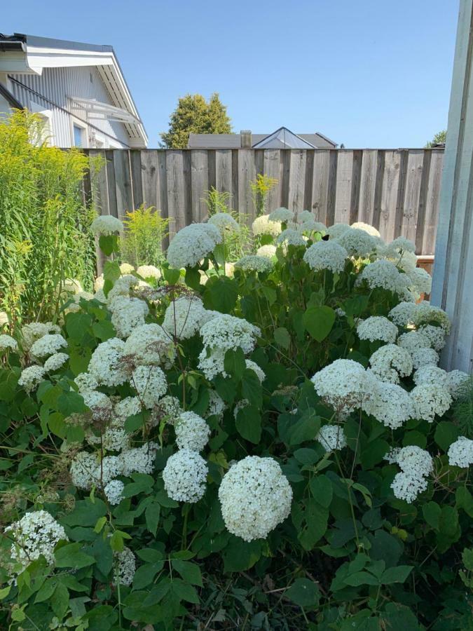 Private House Parking Garden Sea Nature Feriehus